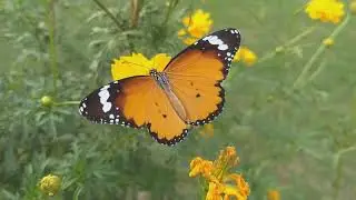 Ambient soothing music | Stress Relief views | Peaceful Music | Bright meditation 2021