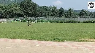 Dog Practice Ied Detection #vlog #doglover #dogtraining #vlogvideo