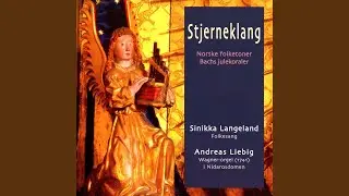 Op Alle, Som Paa Jorden Bor; Orgel Bwv 609