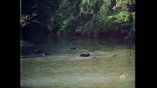 Rivers of Kerala