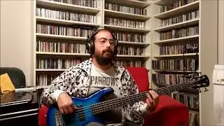 Happy Body Slow Brain - We're Strangers Now (COVID-19 Bass Cover)
