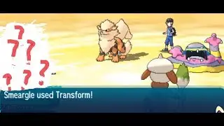 WE CREATED THE STRONGEST POKEMON POSSIBLE? VGC 17 - The Championship Challenge Episode 15