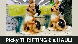 Picky Thrifting & a Haul!