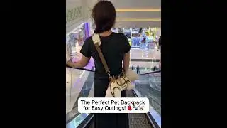 Pet Dog & Cat Crossbody Carrier Bag | Hands-Free Travel for Small Pets!
