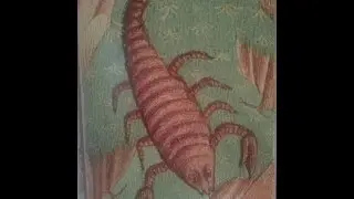 Scorpio the Sexual