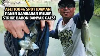 pesta strike melem nilem spot andalan banyuwangi