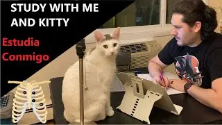 STUDY WITH ME | Estudia Conmigo | 2 Hrs -Ambient music + Binaural Waves