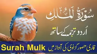 Surah Mulk Beautiful Tilawat | Qari Mansoor Ghaznawi| Urdu & Hindi Translation Ep 15