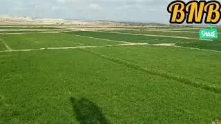 Pishin Balochistan kili Fazal Rahim