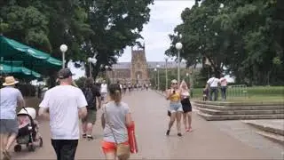 SYDNEY CATHEDRAL SQUARE, 2018, Rayappa Kasi