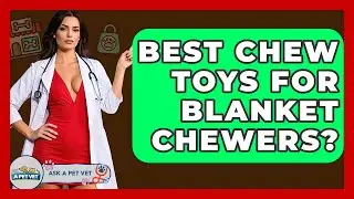 Best Chew Toys For Blanket Chewers? - Ask A Pet Vet