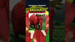 SAMMY NOS ROBA LOS BRAINROTS 😡 #roblox #brainrot #stealabrainrot