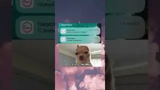 #memes #shorts