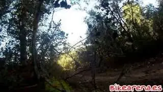 SPECIALIZED FATBOY, BIKE ARENA