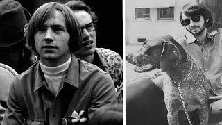 Deconstructing Sunny Girlfriend - The Monkees (Isolated Tracks)