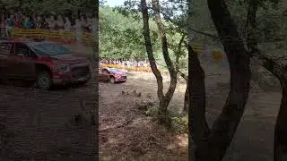 Rally Acropolis #wrc2023