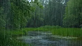 Sleep without Worries | Heavy Forest Rain on Lake | ASMR Forest Rain to Sleep Deeply & Ease Stress