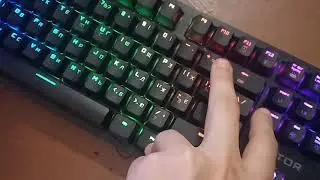 Обзор клавиатуры Hator Rockfall EVO TKL