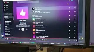 Snagit screen recording failure, no input shown, mic not recorded... FRUSTRATING!