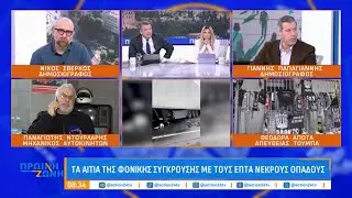 Τα αίτια της φονικής σύγκρουσης που στέρησε τη ζωή στους 7 οπαδούς του ΠΑΟΚ - Τι λένε οι ειδικοί