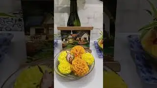 My creation ❤️ at a corner of kichen #song #love #plants #kitchen #plants #viral #like