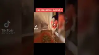 voy vungni ko'ti