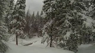 Explore Colorado Adams Falls Snowshoe