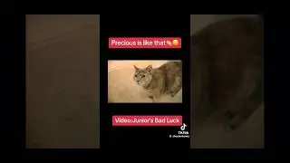 #subscribe #smlclips #funnyimages #viralvideo #funny #funnypictures #smljunior #funnymemes #edit