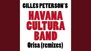 Orisa (Alex Patchwork Remix)