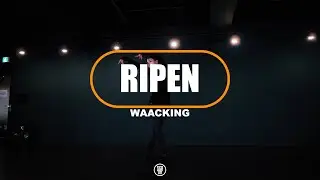 백예린(Yerin Baek) &lsquo;MIRROR&rsquo;  / RIPEN WAACKING CLASS / 251212 라이픈 왁킹 클래스 / @sugardancestudio