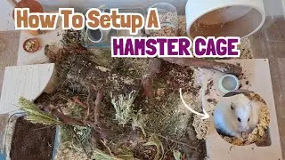 How To PROPERLY Setup A Hamster Cage! // Natural Cage Setup