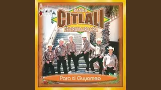 El Gusto Federal