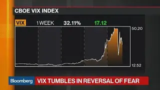 VIX Tumbles After Seeing Its Biggest Spike on Record