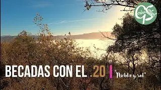 ❗👏 Becadas con el calibre 20. 