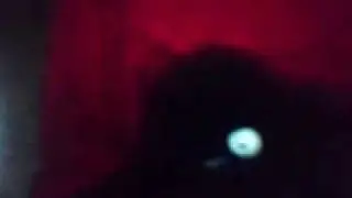 MOV03039