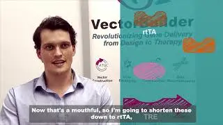 How to use the Tet based system to control gene expression.