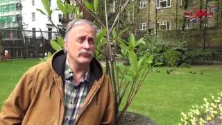 Soho Stories: Meet David Gleeson