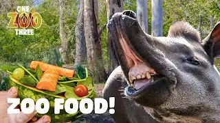 Epic Meal Fails! Cooking for Meerkats, Tortoises & Tapirs! | One Zoo Three