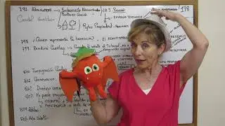 198.-ADMINISTRADOR DEL CAUDAL HEREDITARIO