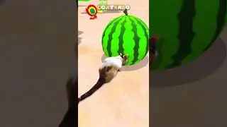 Cat eating watermelon in Super Mario Sunshine