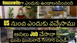 US నుంచి ఎందుకు move అయ్యాం??Housewifeగా ఎందుకు ఉండాలనిపించింది।అసలు Job చేసానా#housewifelife 