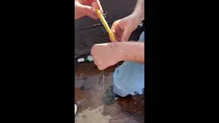 Hook removal technique using fishing string