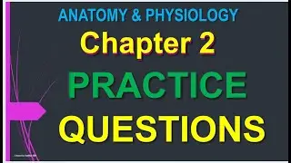 Chapter 2 Practice Questions for Anatomy and physiology