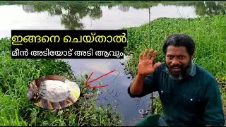 Best fishing bite | Malayalam fishing video letest