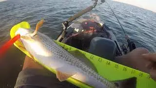 Fishing Brown & Root Flat