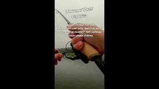 January Bass Fishing Tips #29