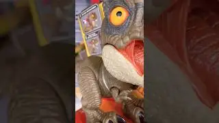 Baby Dino #dino