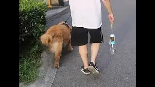 Ultimate Dog Water Bottle with Food Container &ndash; Perfect for Travel & Walks!