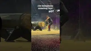 kompetisi potong kayu tercepat di dunia #sthilchainsaw #kompetisi #shortvideo #tools