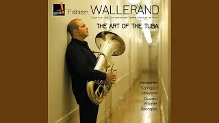 Scenes from a Masked Ball, Op. 3: No. 5, Begegnung in F Major